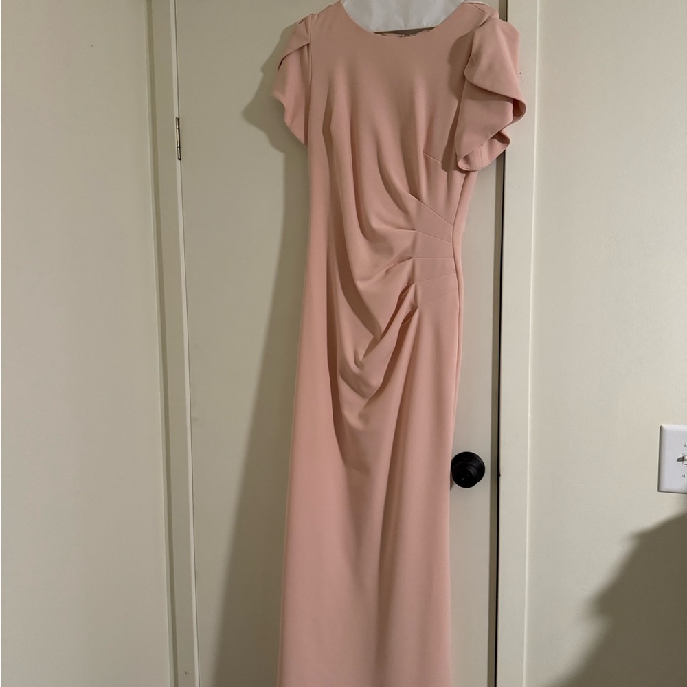 Xscape Blush Maxi Dress with Draped Sleeves